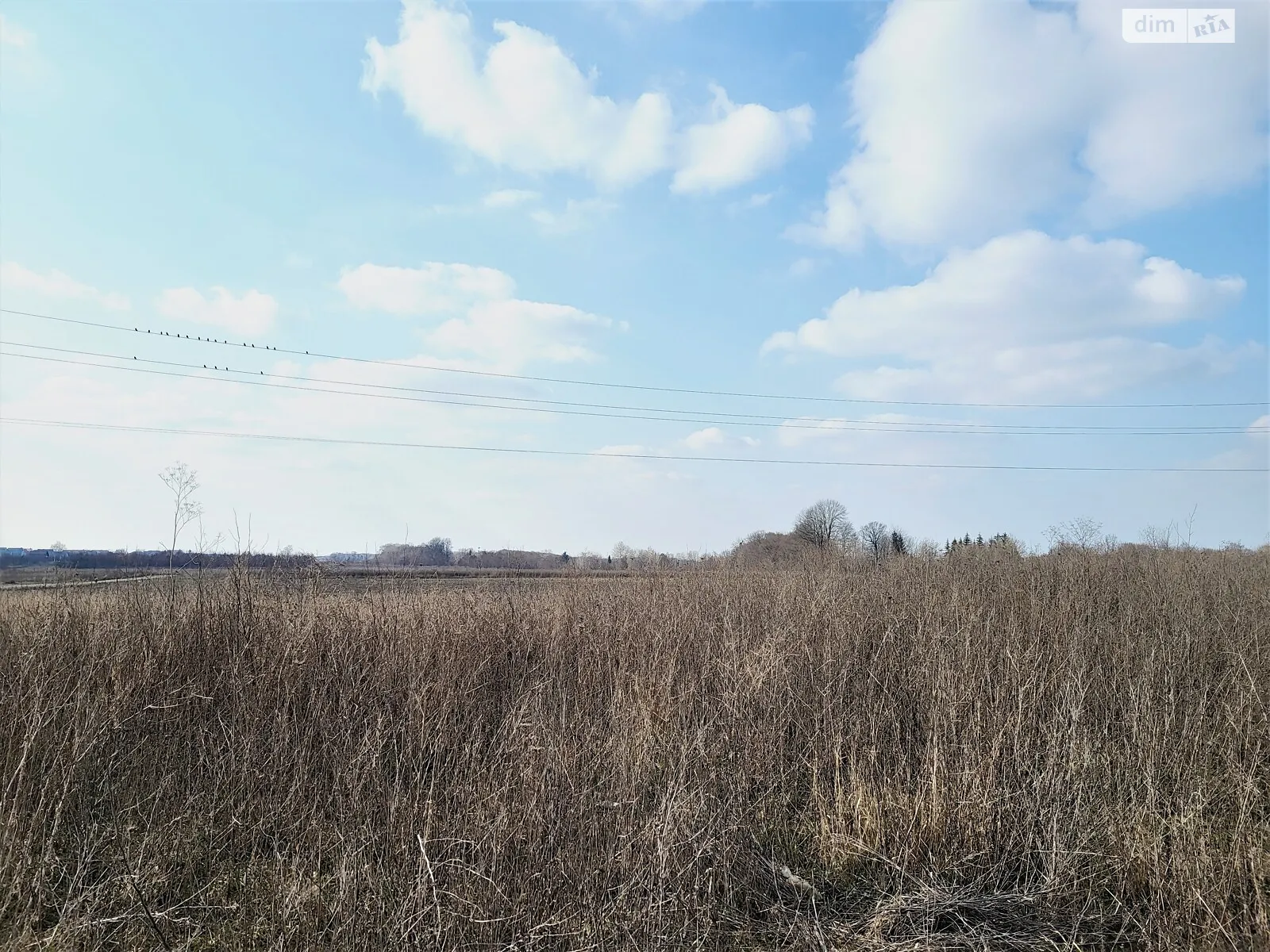 Продается земельный участок 23 соток в Винницкой области - фото 3
