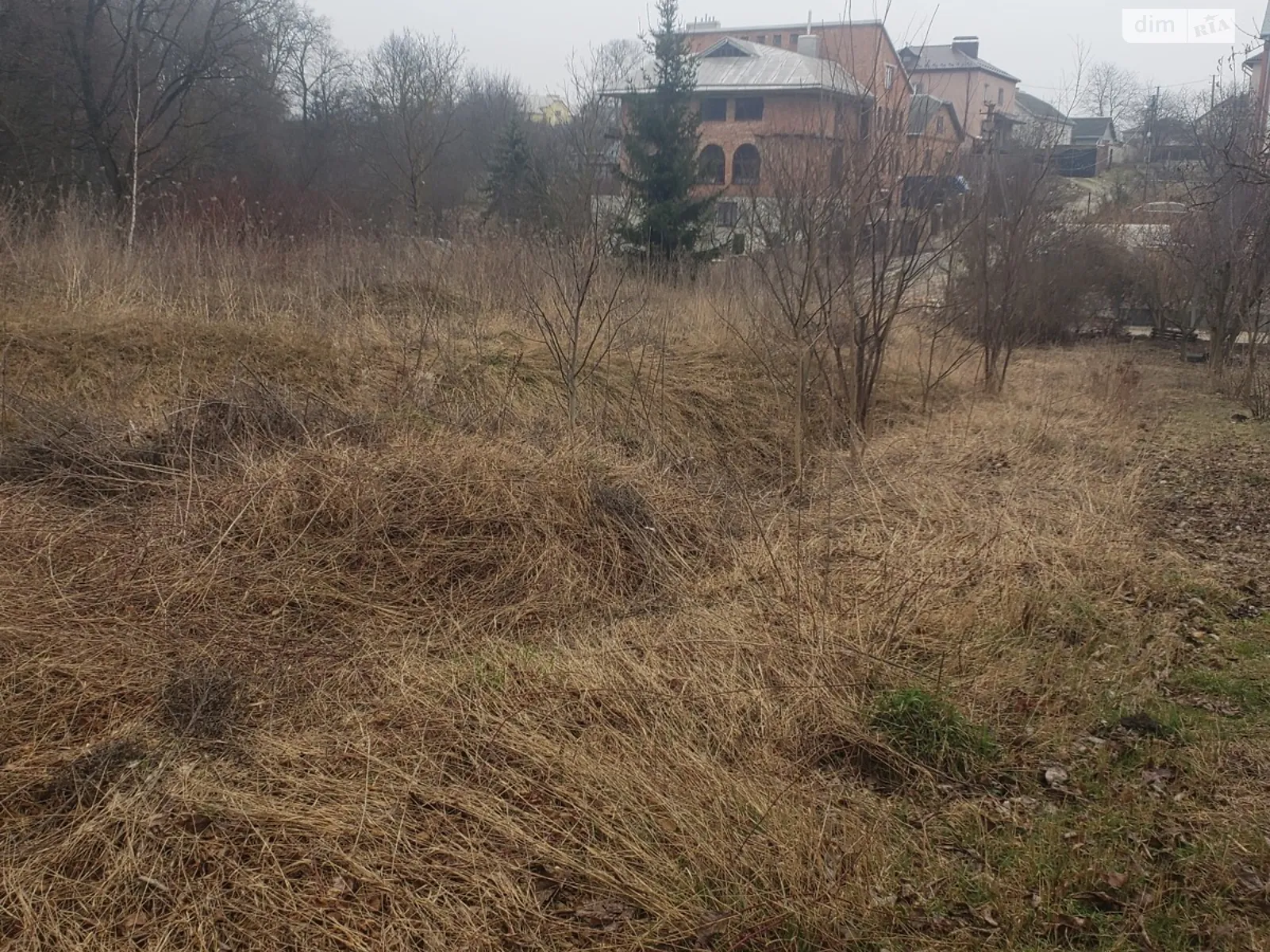 Продается земельный участок 10 соток в Тернопольской области - фото 3