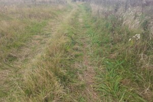 Купить землю под застройку в Закарпатской области