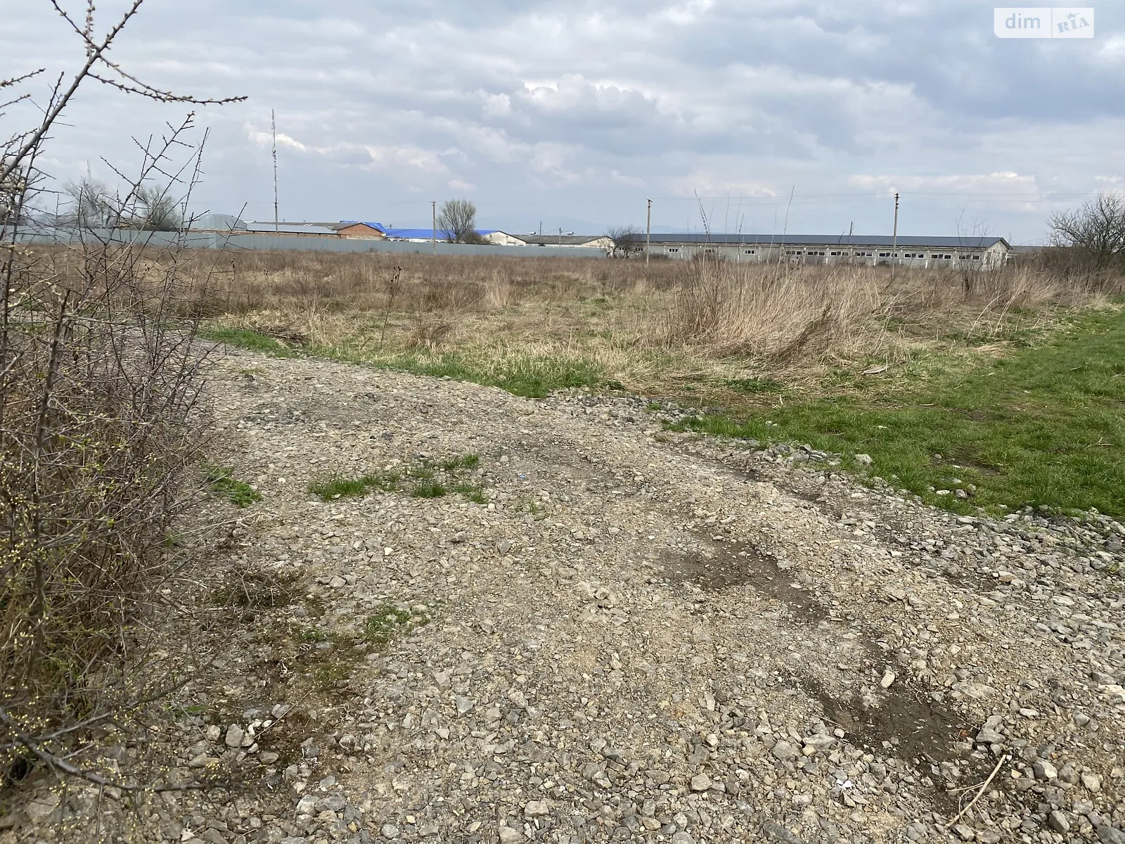 Продается земельный участок 185 соток в Закарпатской области - фото 3