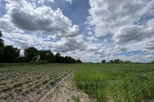 Купить землю под застройку в Львовской области