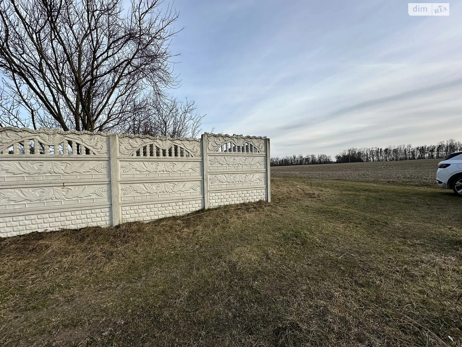 Продается земельный участок 28 соток в Житомирской области - фото 3