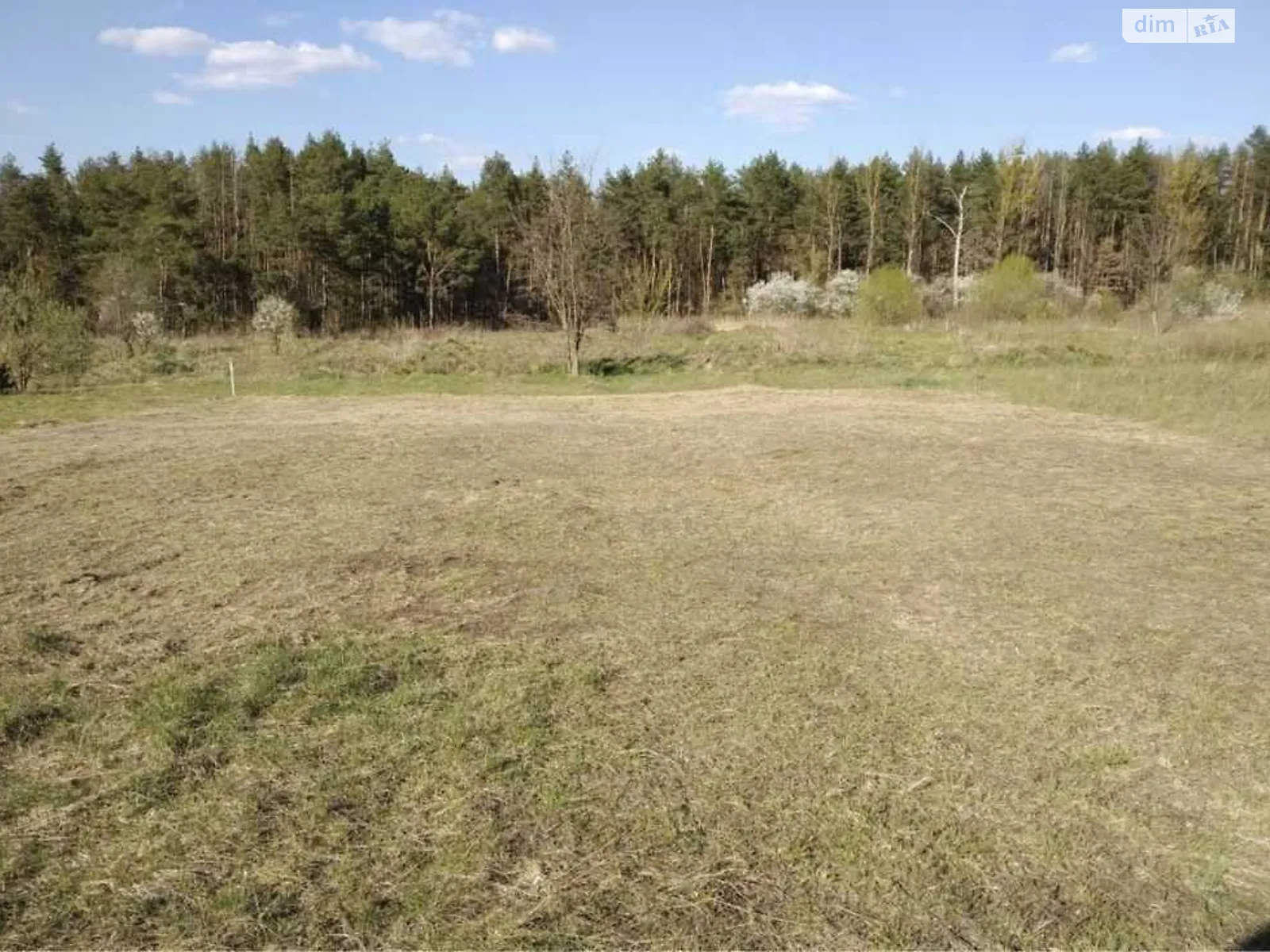 Продается земельный участок 6 соток в Львовской области - фото 3