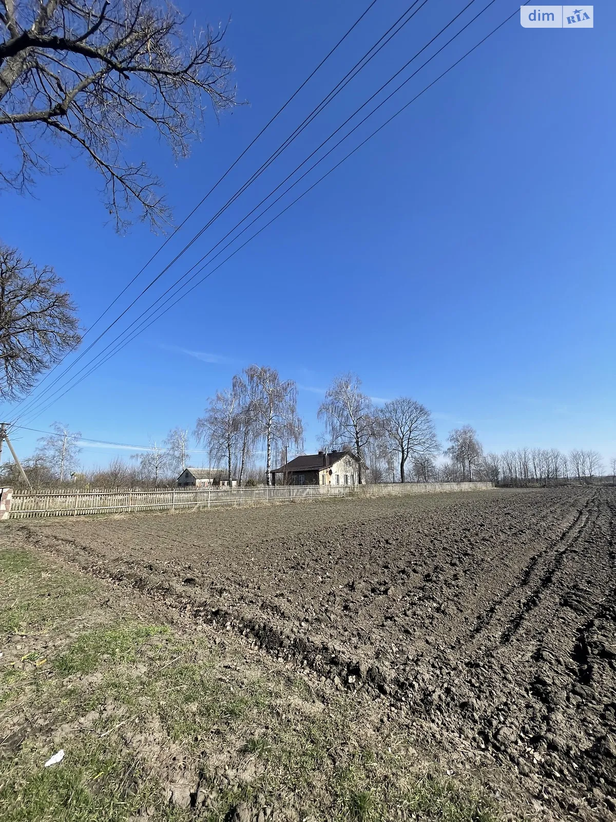 Продается земельный участок 30 соток в Тернопольской области - фото 2