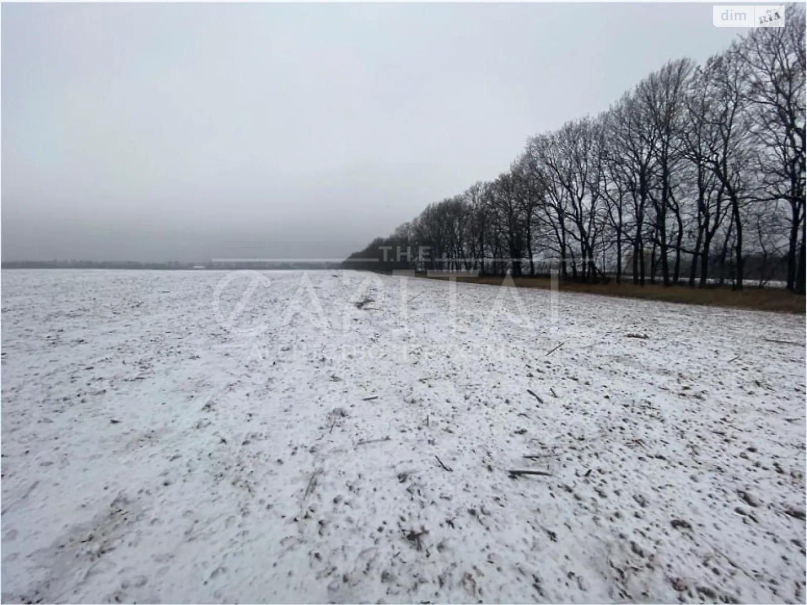 Продається земельна ділянка 120 соток у Київській області, цена: 120700 $ - фото 1