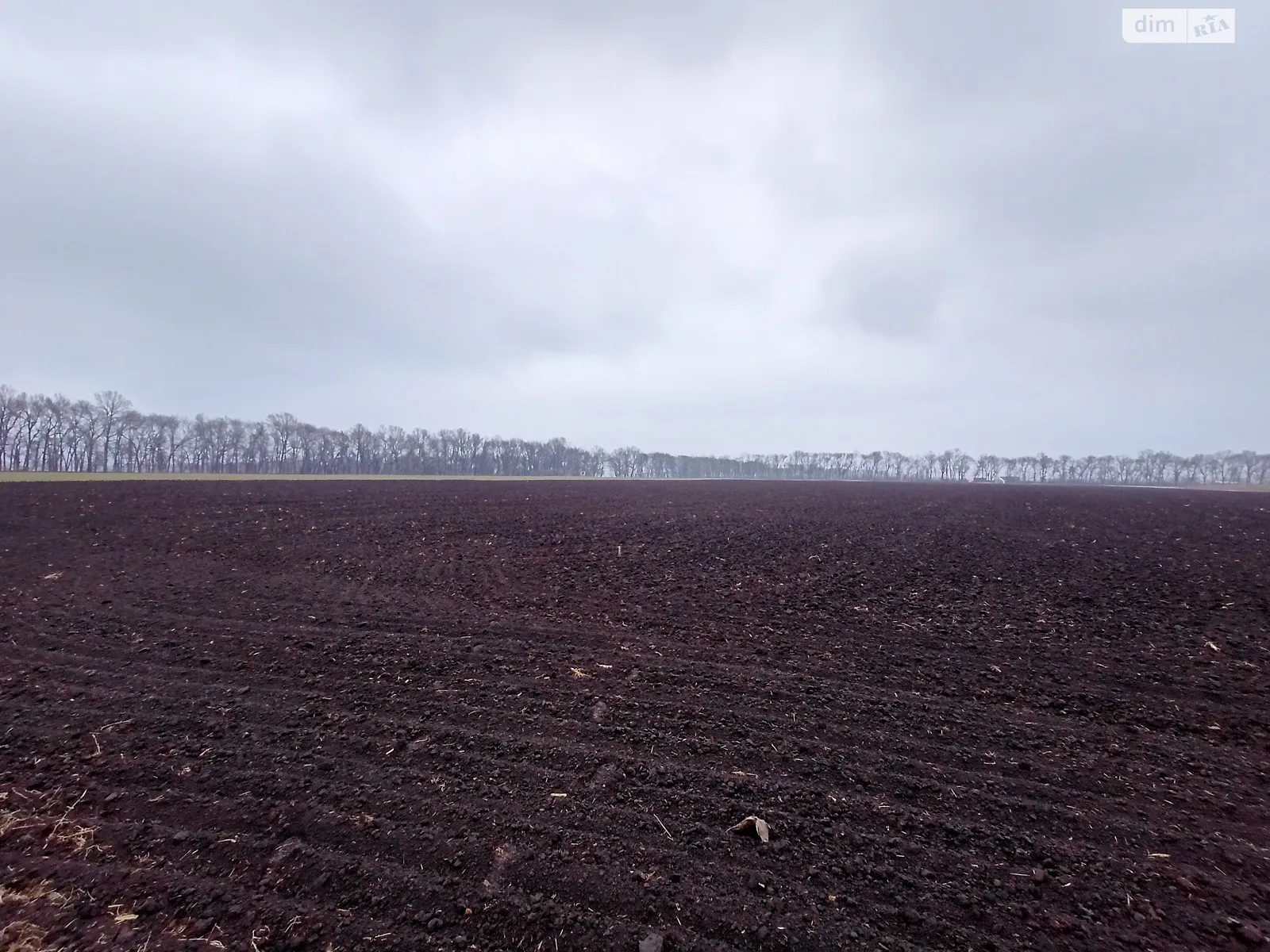 Продається земельна ділянка 60 соток у Вінницькій області, цена: 160000 $ - фото 1