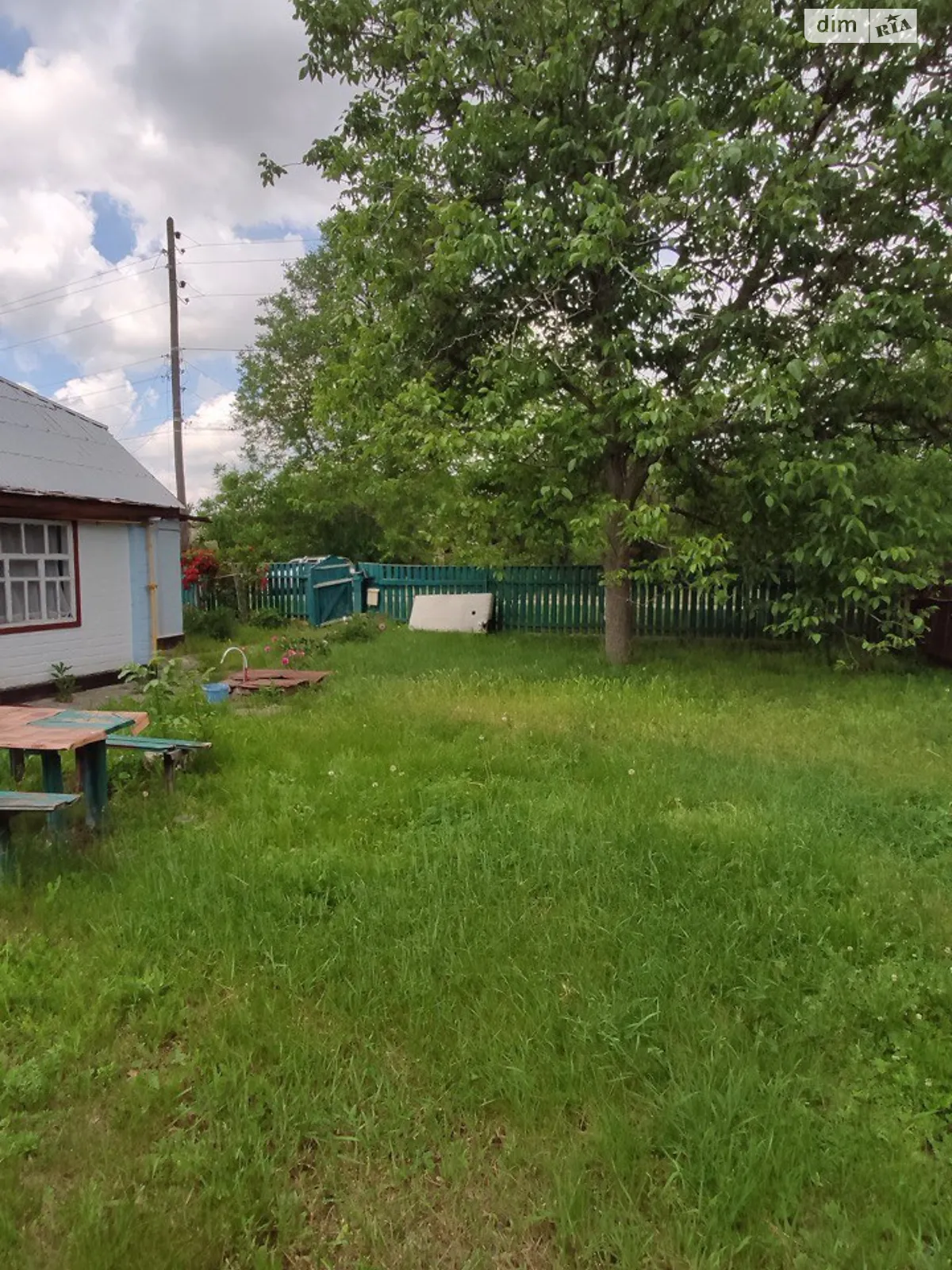 Продается земельный участок 15.36 соток в Черкасской области - фото 3