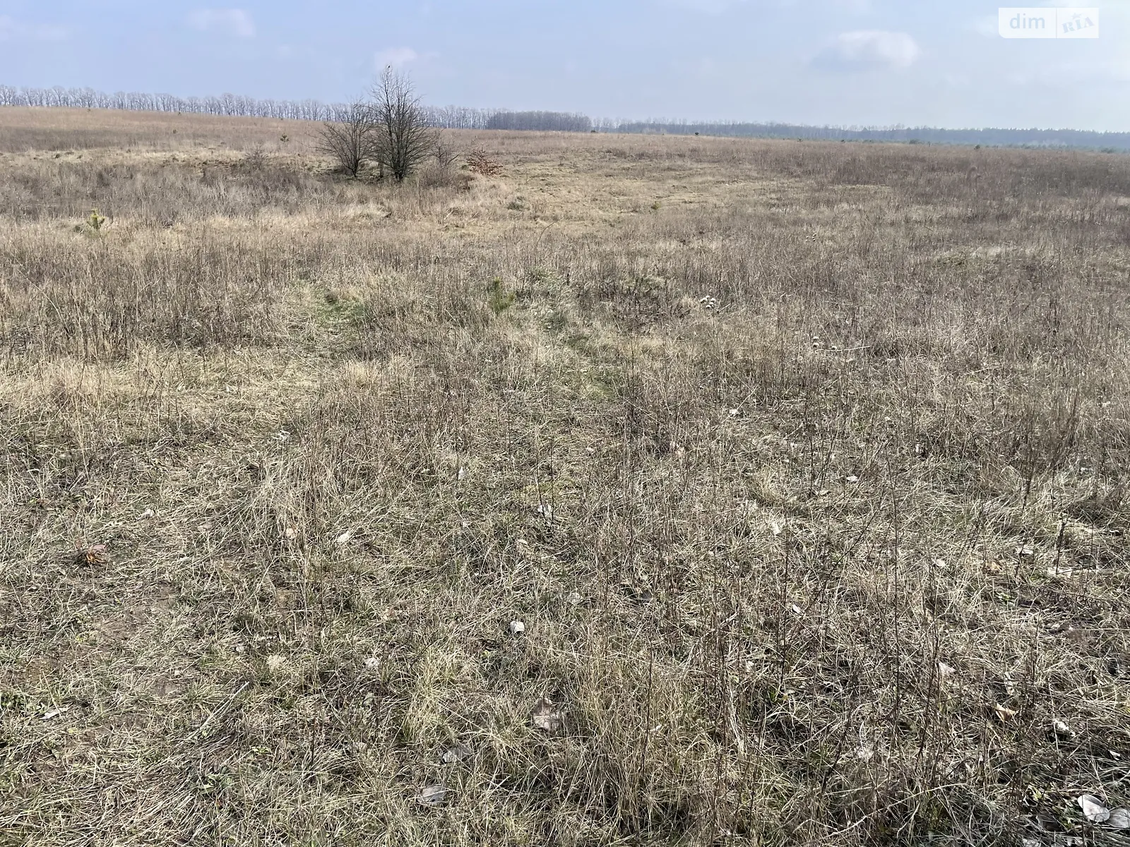 Продается земельный участок 40 соток в Винницкой области - фото 4
