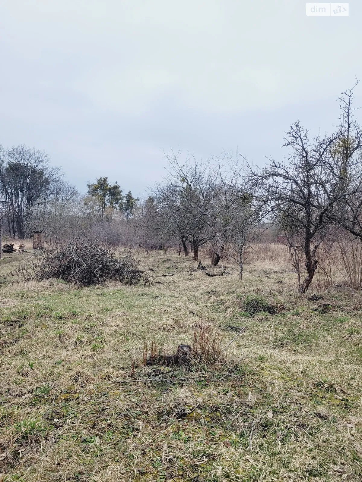 Продается земельный участок 8.5 соток в Житомирской области - фото 4