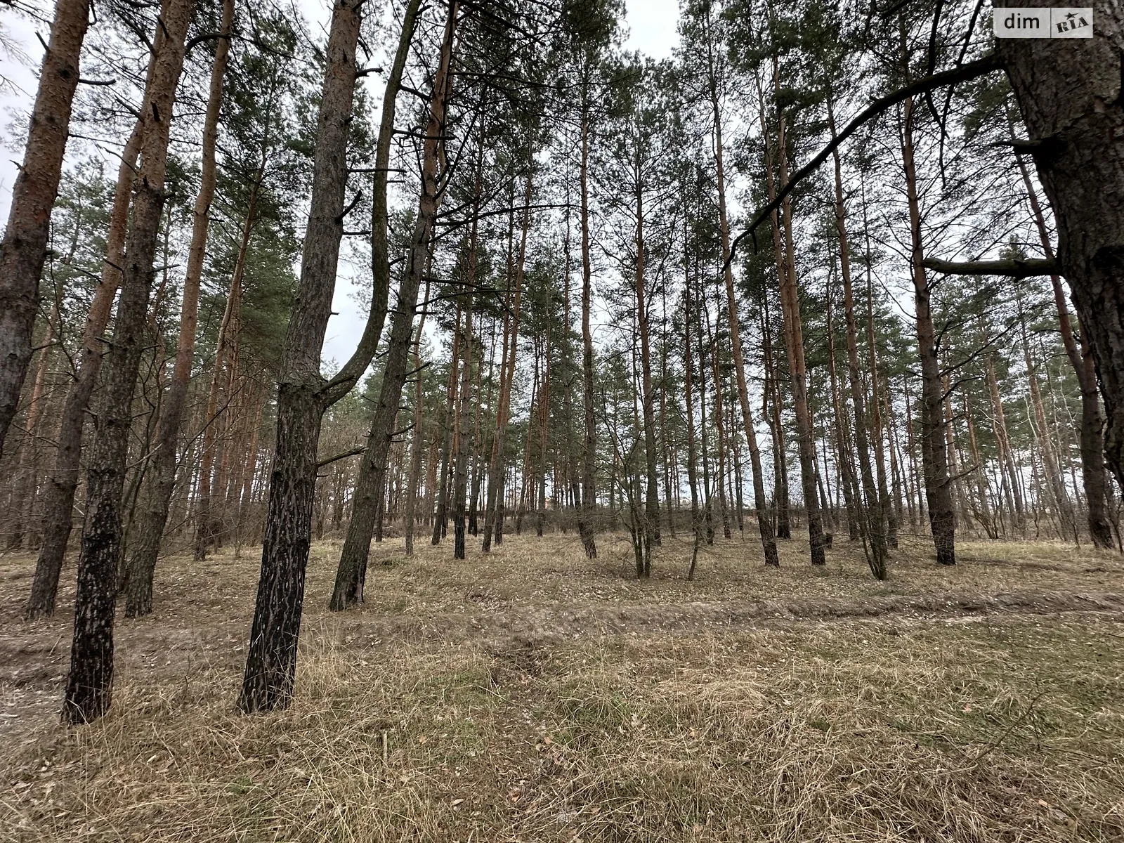 Продається земельна ділянка 25 соток у Дніпропетровській області, цена: 79999 $