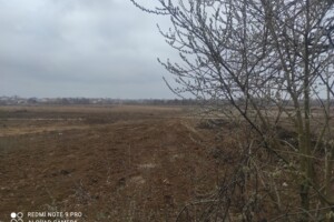 Куплю земельный участок в Чечельнике без посредников