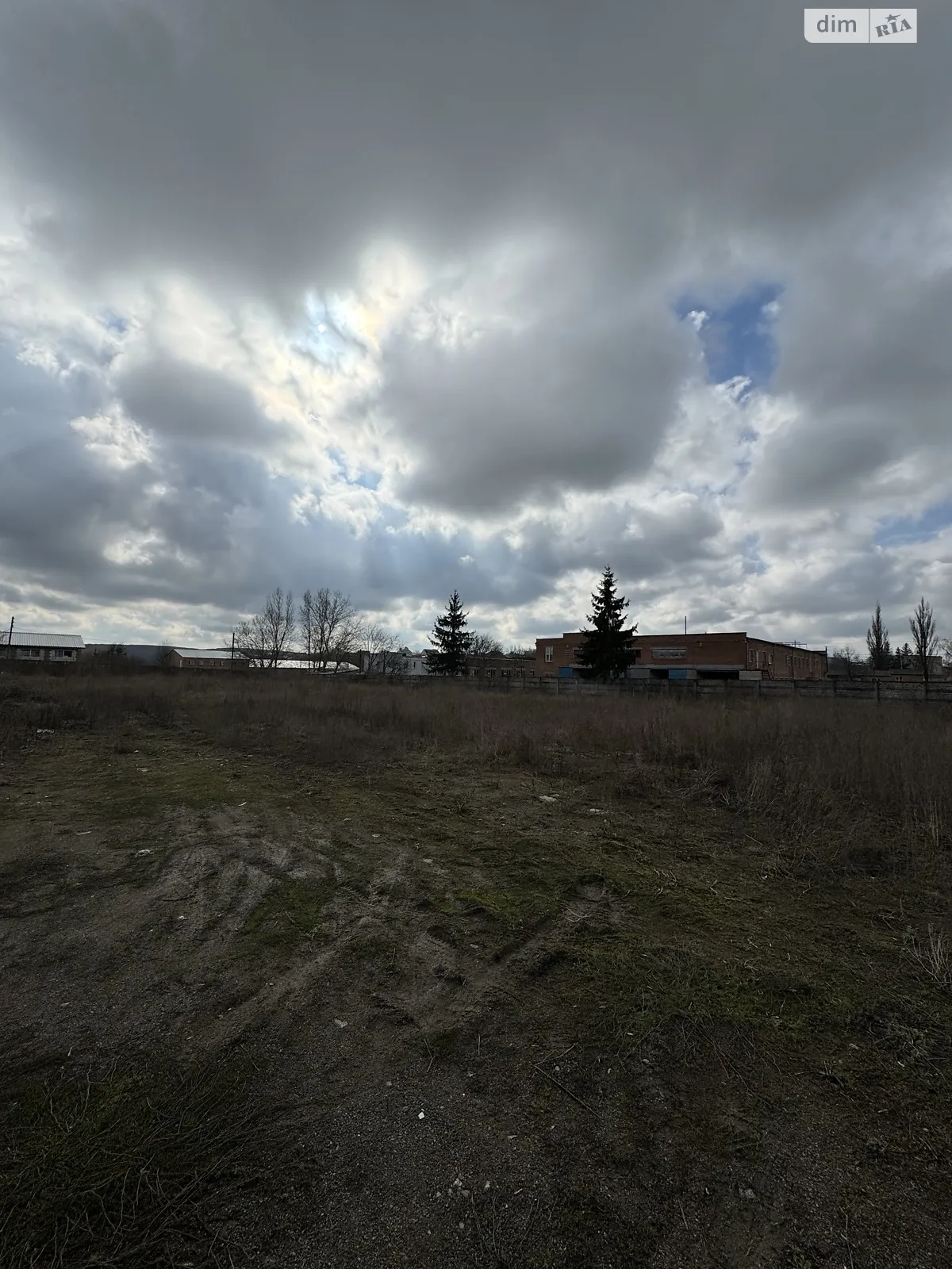 Сдается в аренду земельный участок 56 соток в Винницкой области - фото 2