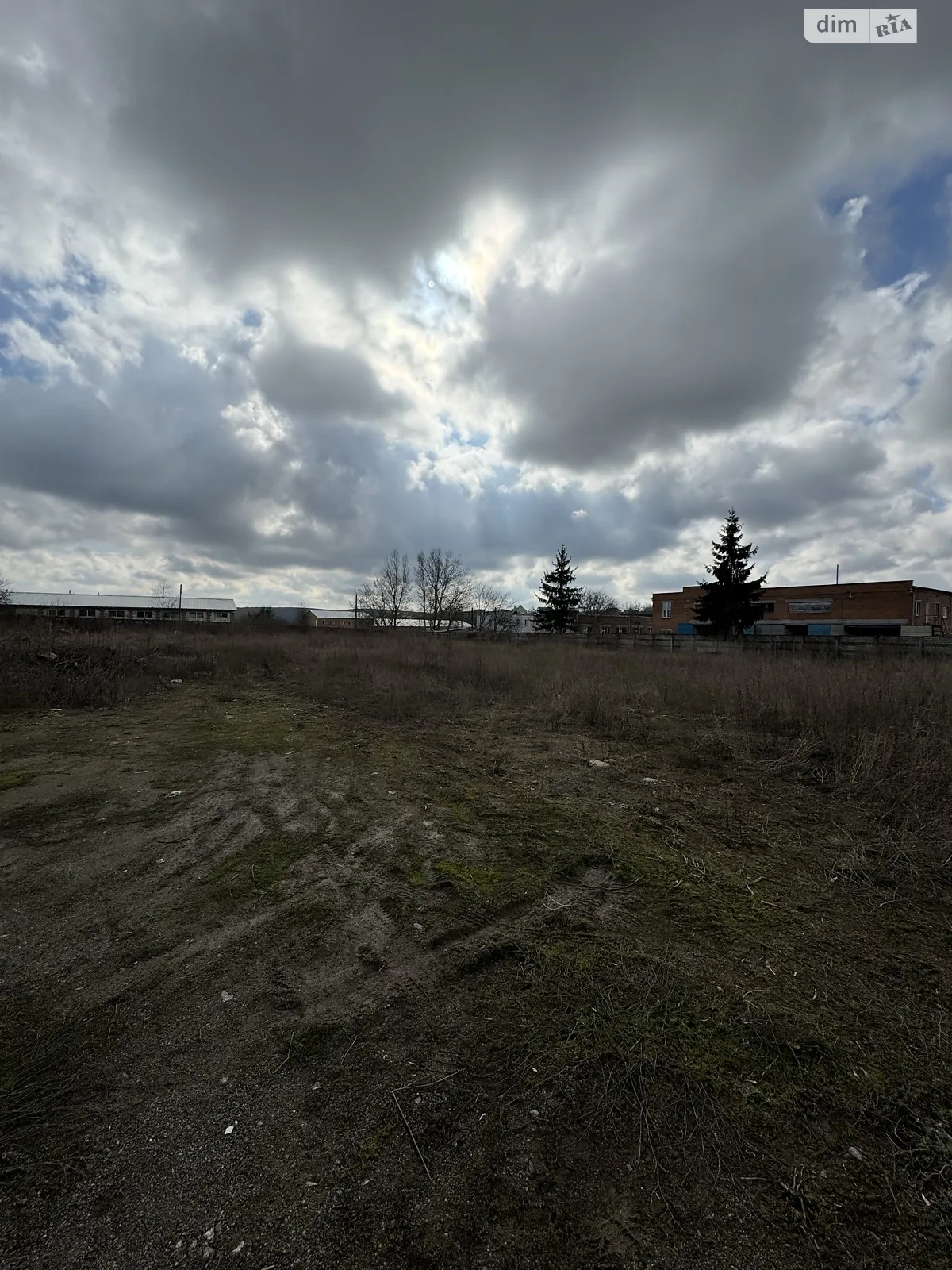 Сдается в аренду земельный участок 56 соток в Винницкой области - фото 3