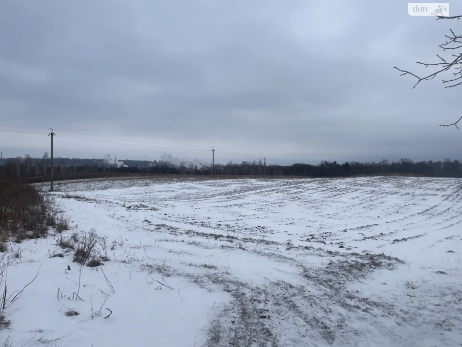 Продається земельна ділянка 9 соток у Житомирській області - фото 2