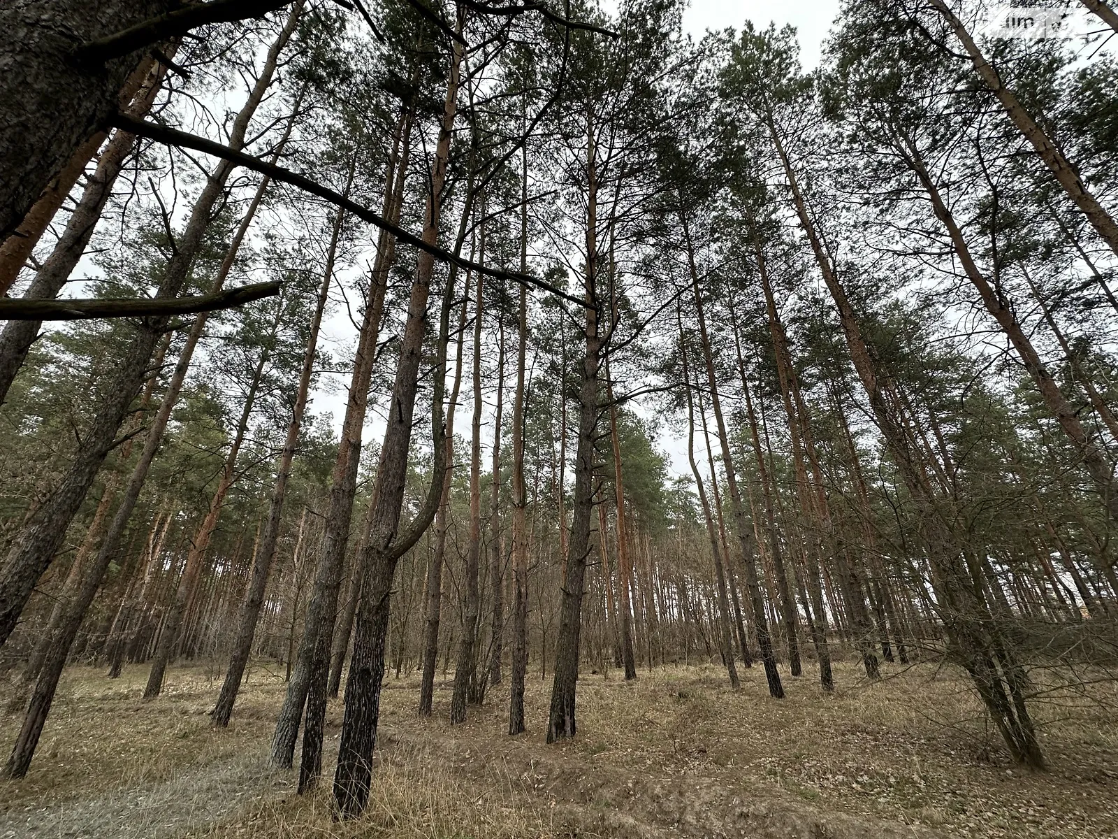 Продається земельна ділянка 10 соток у Дніпропетровській області, цена: 22000 $ - фото 1