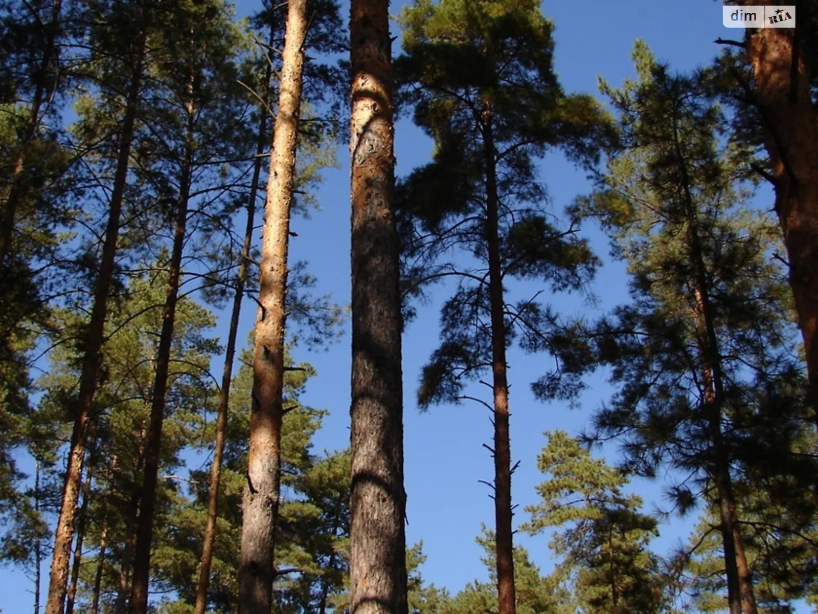 Продається земельна ділянка 5 соток у Київській області, цена: 37500 $ - фото 1