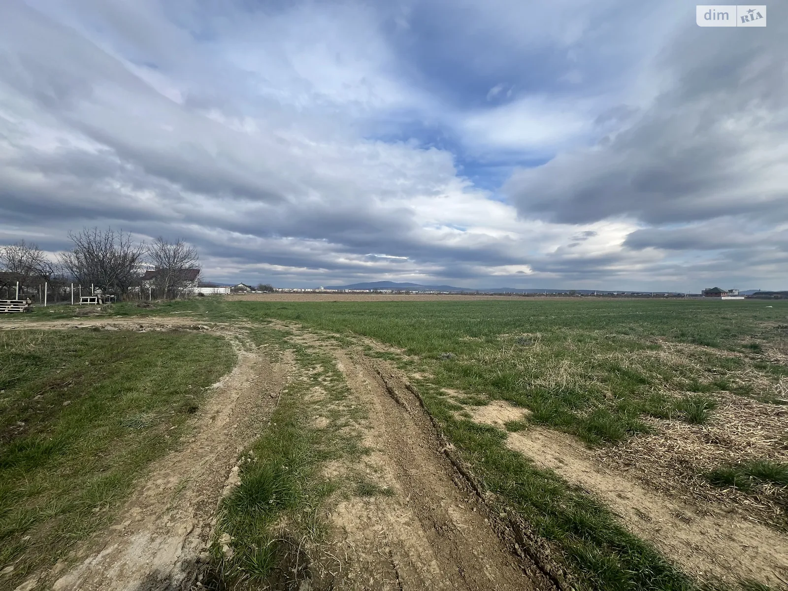Продается земельный участок 15 соток в Закарпатской области - фото 2