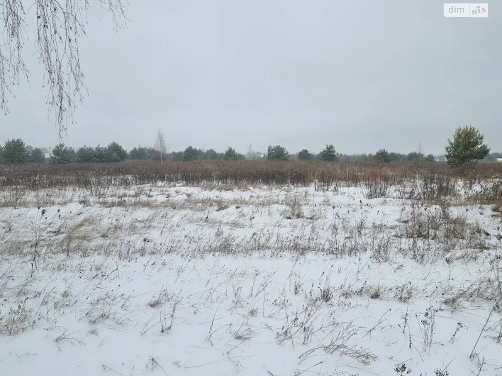 Продается земельный участок 522 соток в Киевской области, цена: 90000 $