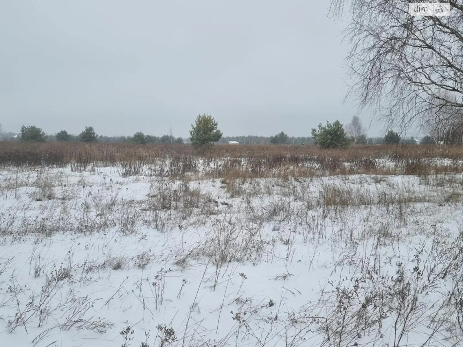 Продається земельна ділянка 522 соток у Київській області - фото 2