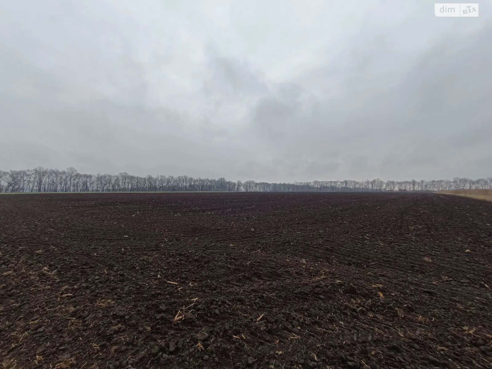 Продается земельный участок 30 соток в Винницкой области - фото 4