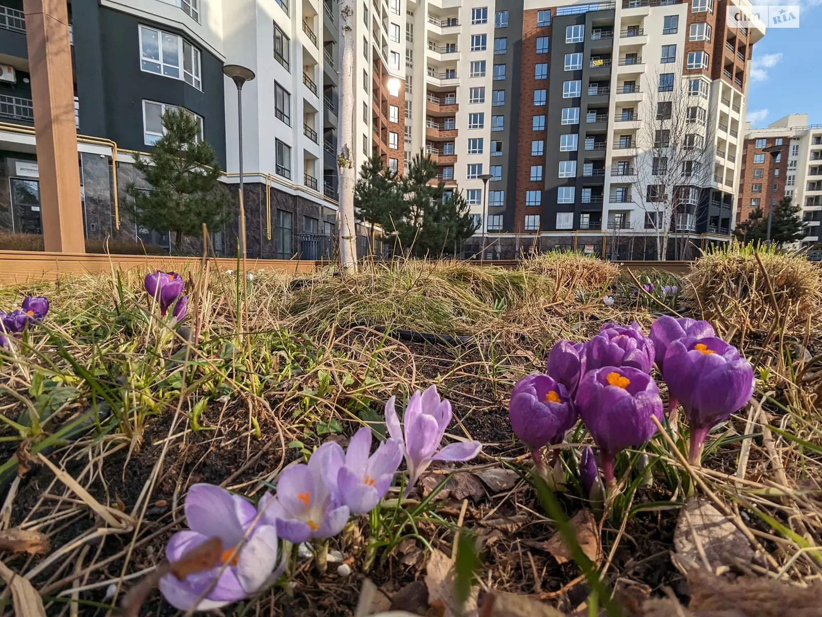 Продается 2-комнатная квартира 57 кв. м в Ирпене, ул. Кобылянской Ольги, 1В/20 - фото 1