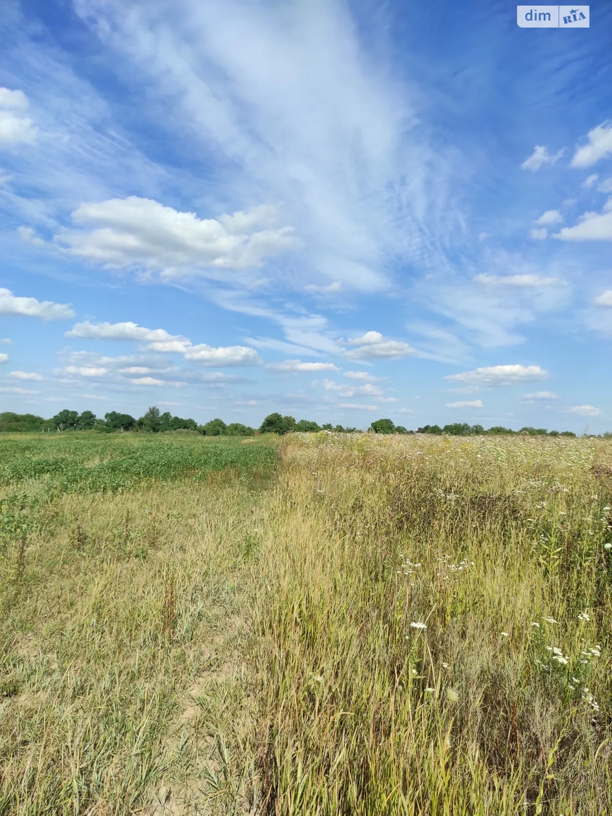 Продается земельный участок 0.0526 соток в Винницкой области - фото 3