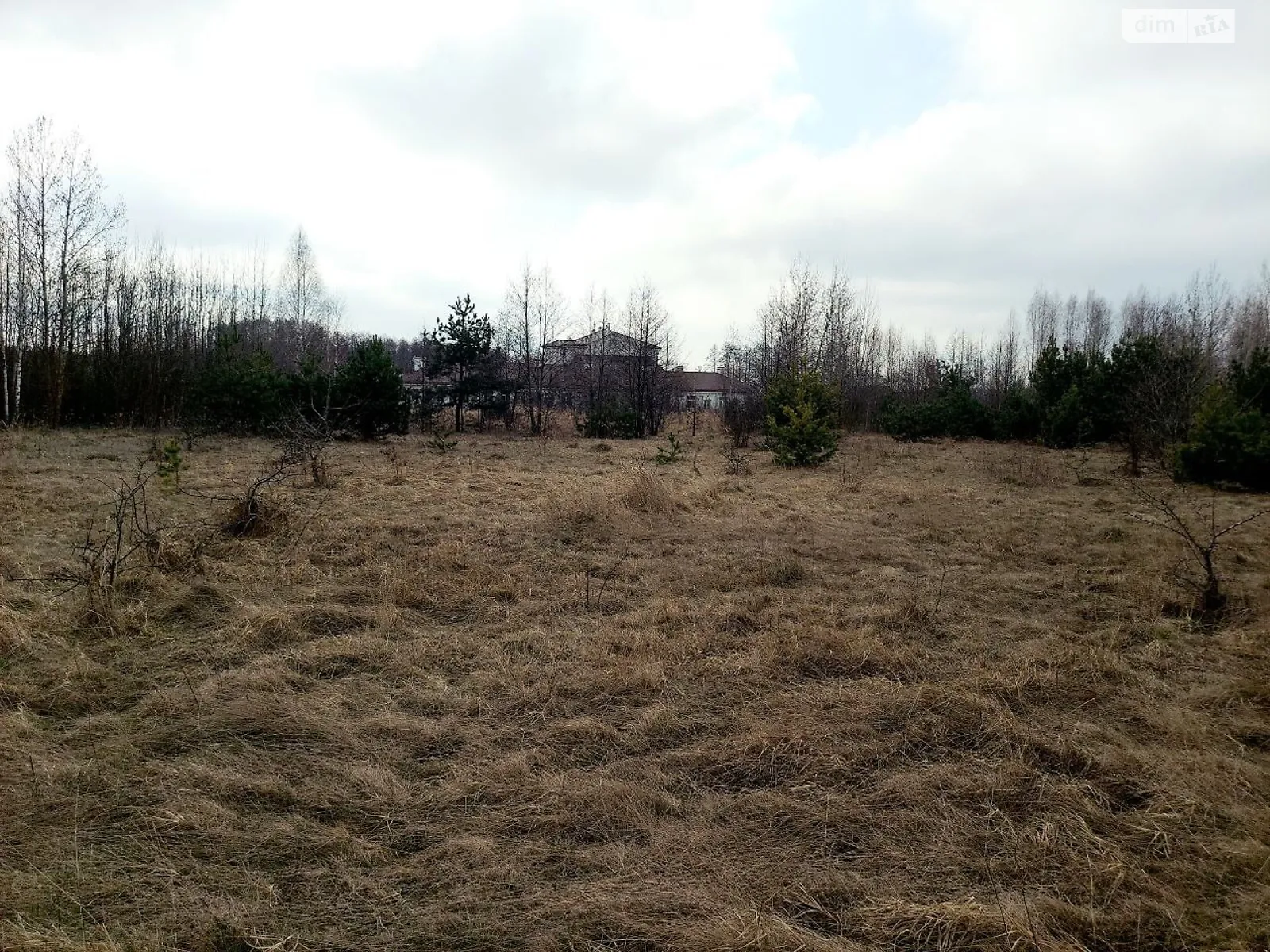 Продается земельный участок 31.5 соток в Житомирской области - фото 2