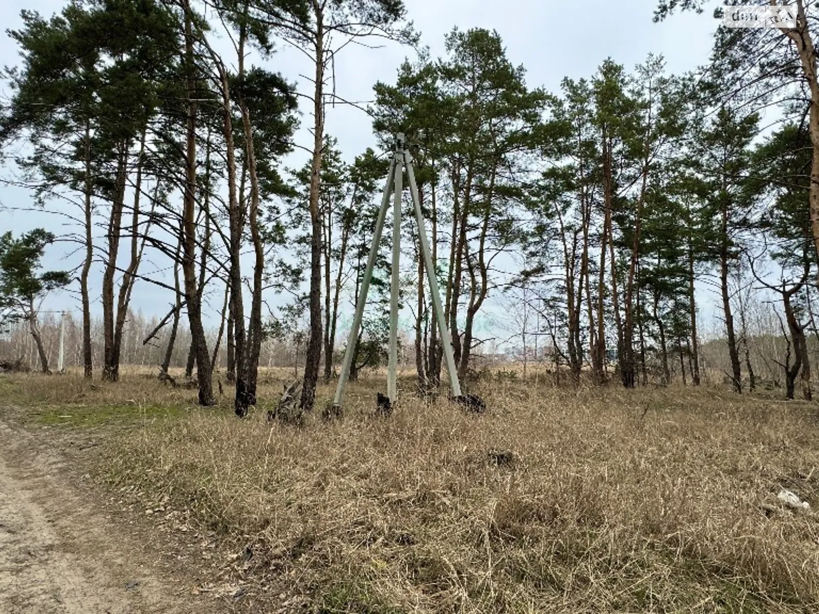 Продается земельный участок 60 соток в Киевской области - фото 2