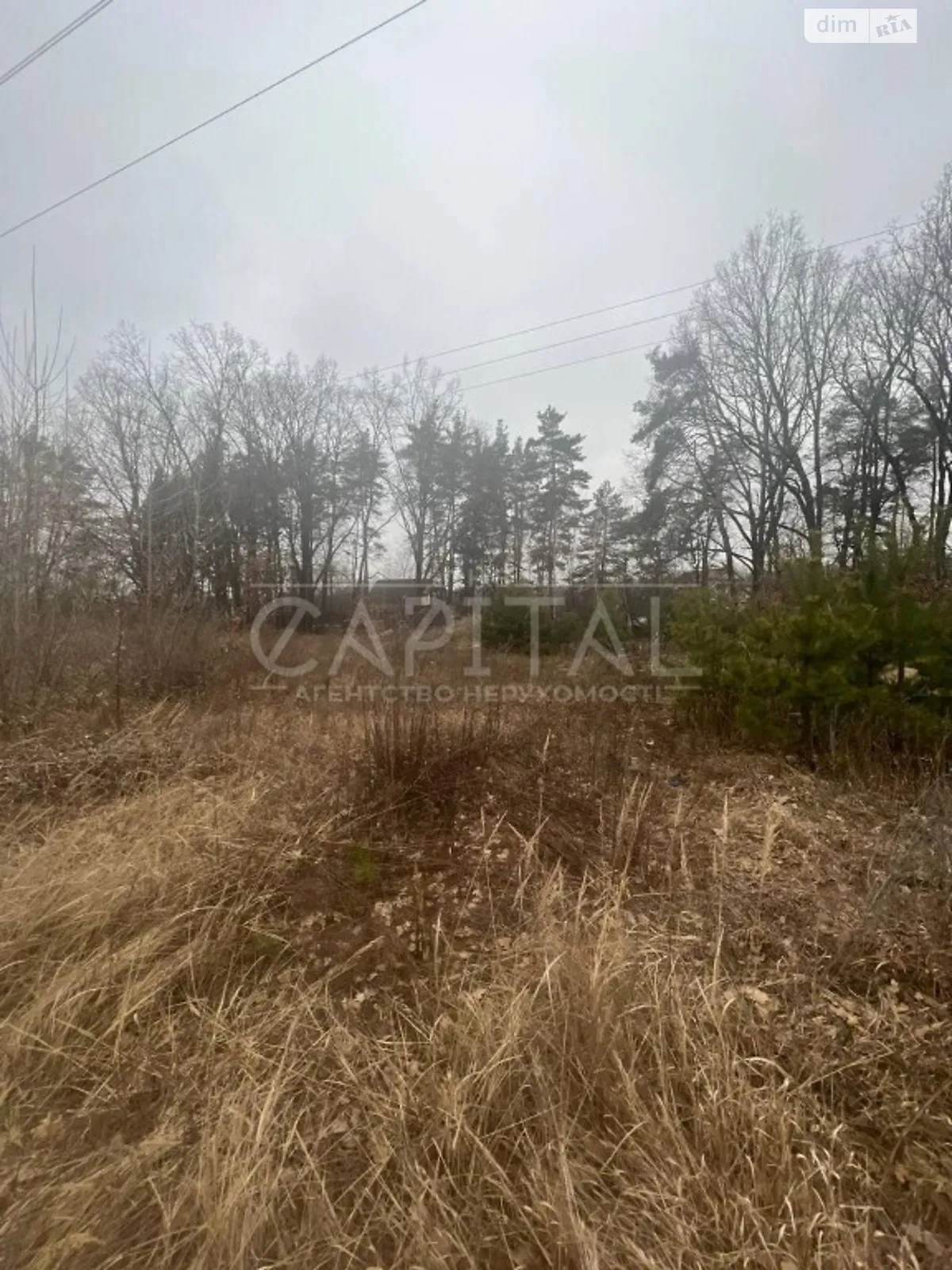 Продається земельна ділянка 394 соток у Київській області - фото 2
