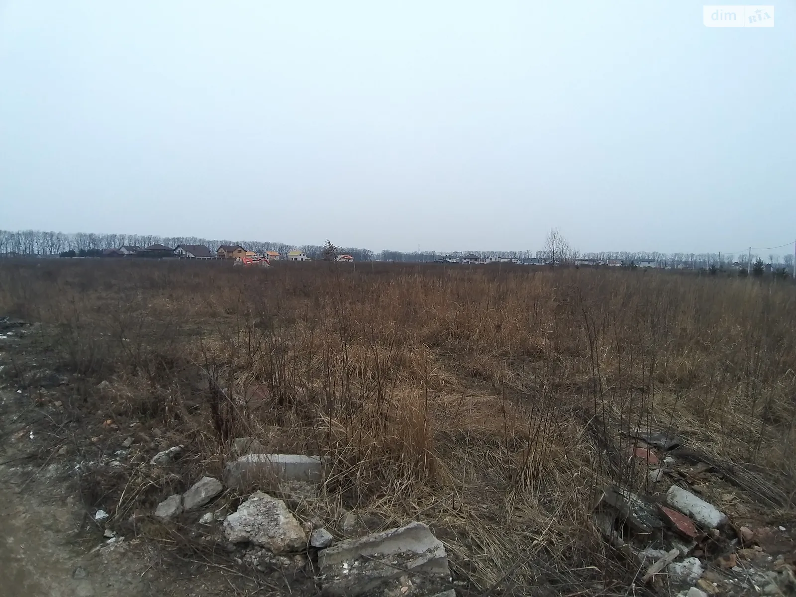 Продается земельный участок 41.59 соток в Киевской области - фото 2