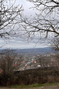 Недвижимость Черновицкой области