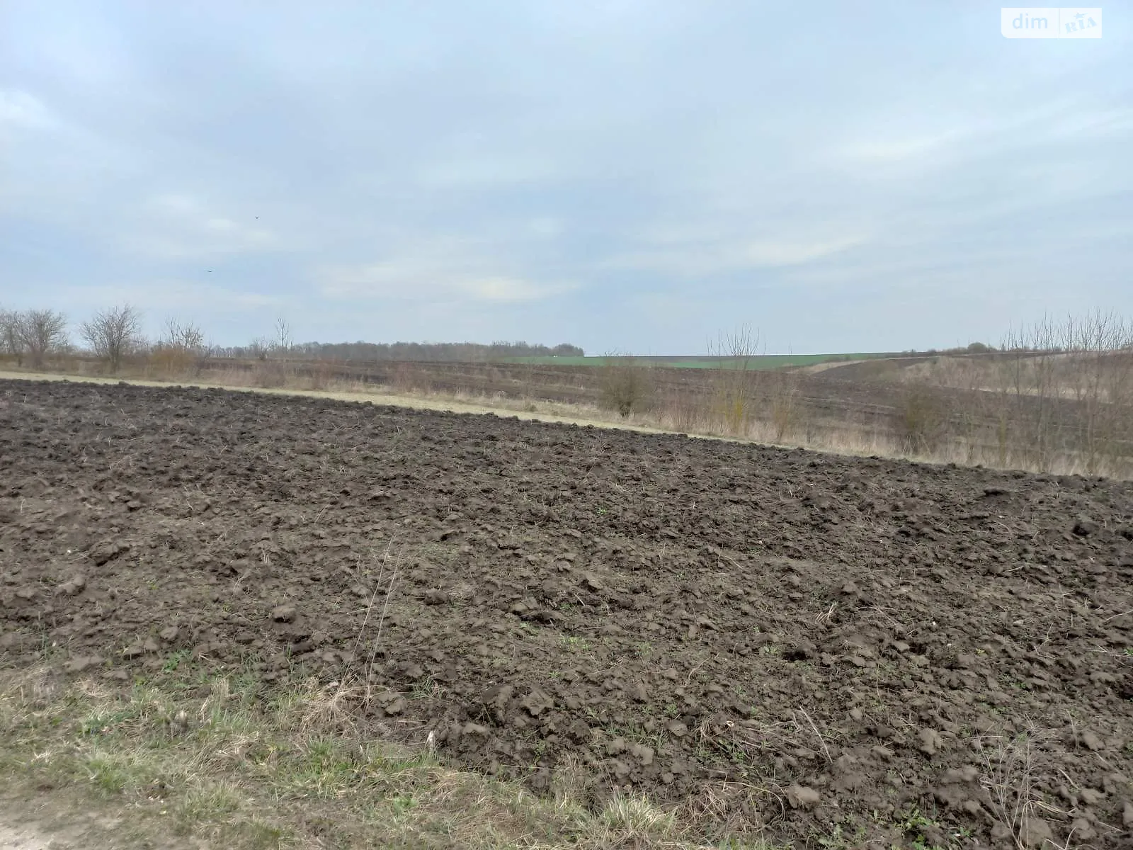 Продается земельный участок 43 соток в Тернопольской области - фото 3