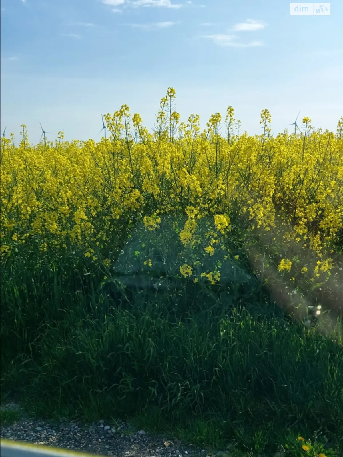 Продається земельна ділянка 17 соток у Вінницькій області, цена: 10000 $ - фото 1