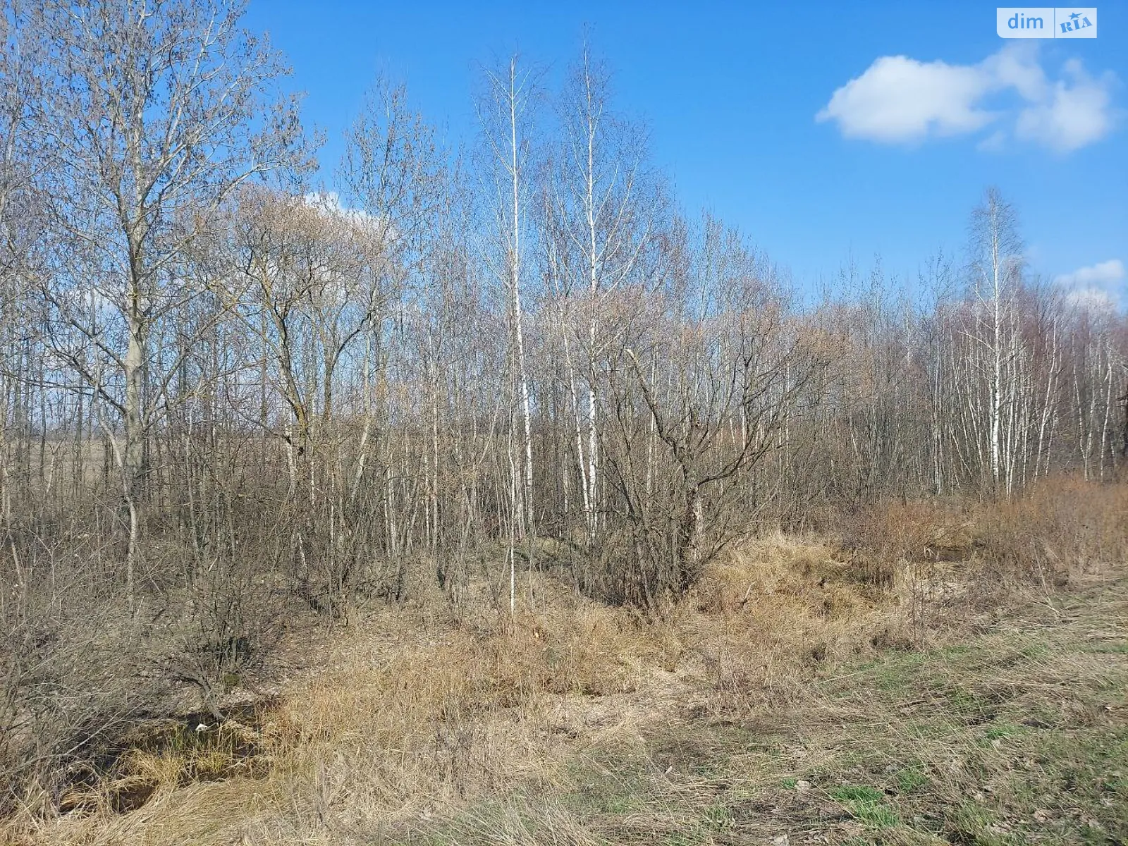 Продается земельный участок 536 соток в Житомирской области - фото 3