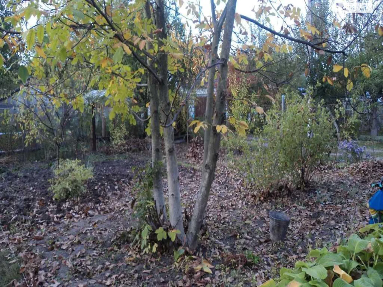 Продается земельный участок 5 соток в Полтавской области - фото 3