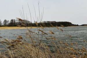 Продаж ділянки під житлову забудову, Вінницька, Літин, р‑н. Рибаче