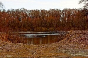 Куплю земельный участок в Новгороде-Северском без посредников