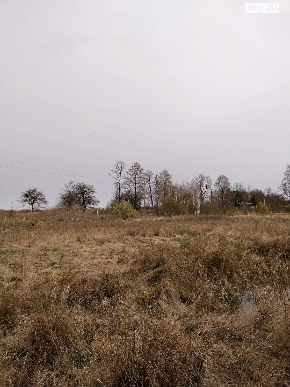 Продається земельна ділянка 24 соток у Вінницькій області - фото 2