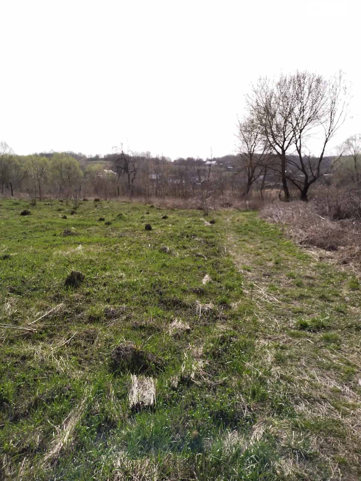 Продається земельна ділянка 35 соток у Вінницькій області - фото 3