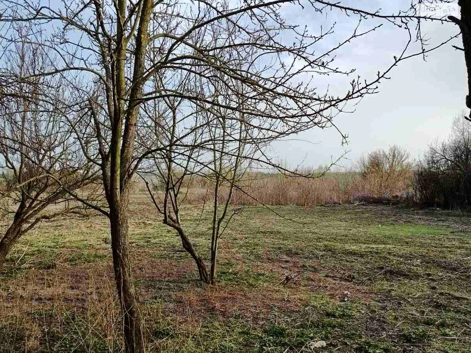 Продается земельный участок 47 соток в Киевской области, цена: 54900 $ - фото 1