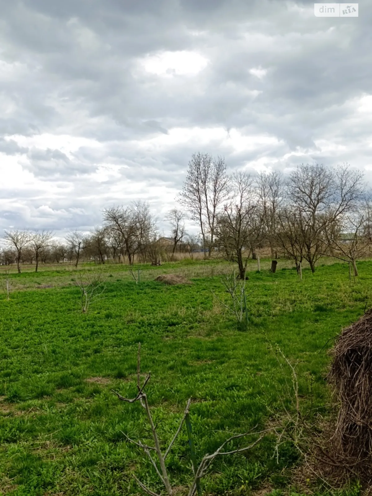 Продається земельна ділянка 10 соток у Вінницькій області - фото 4