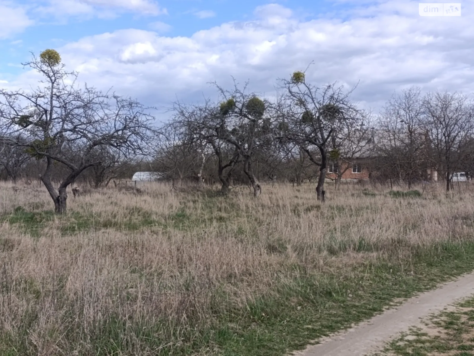 вул. Миру(Леніна) Щітки, цена: 5000 $ - фото 1