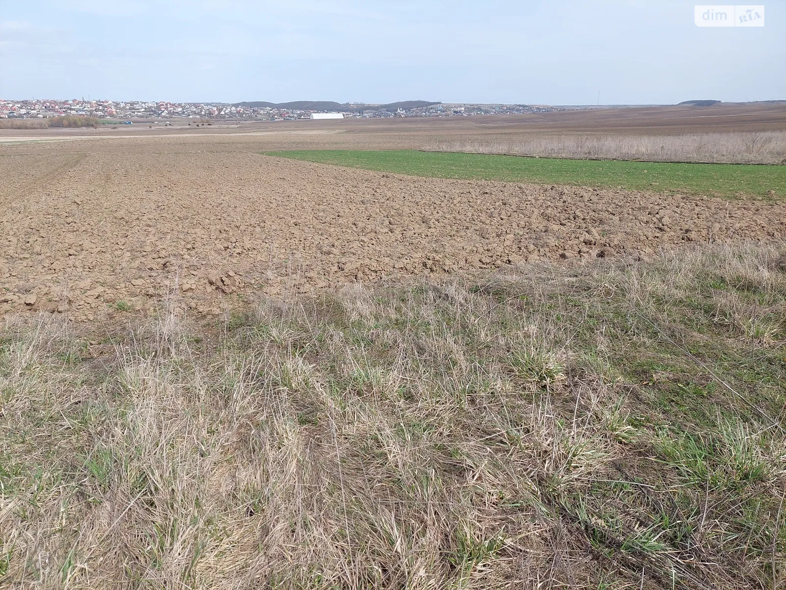 Продается земельный участок 18 соток в Ровенской области - фото 2