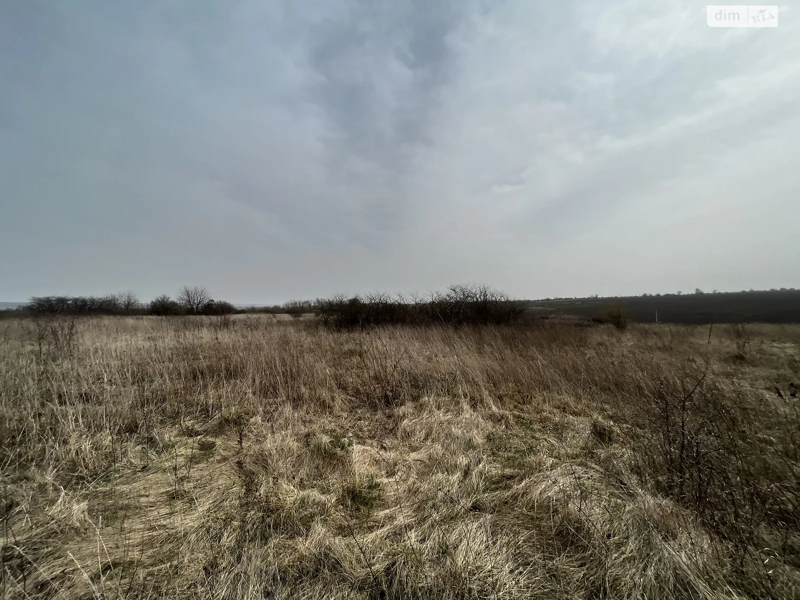 Продается земельный участок 136.78 соток в Хмельницкой области - фото 2