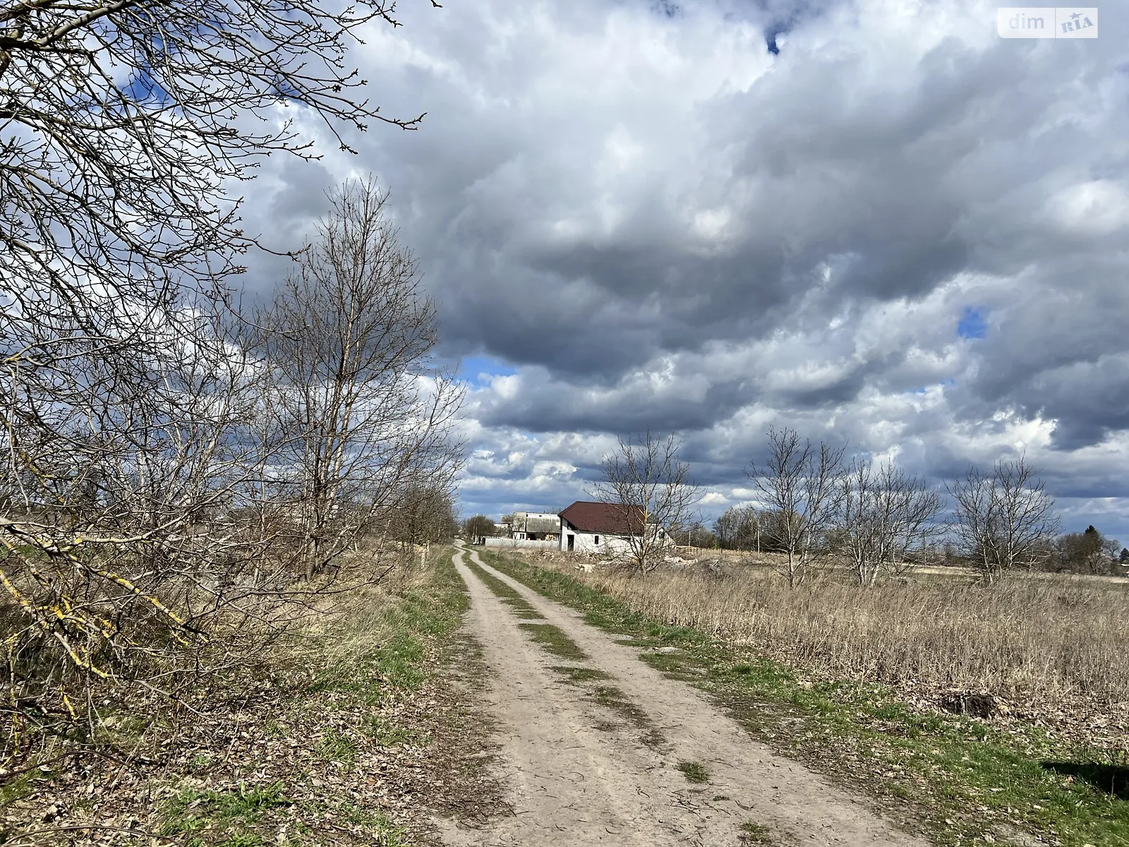 Продается земельный участок 24 соток в Винницкой области - фото 3