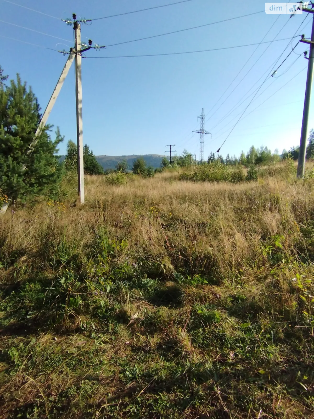 Продается земельный участок 8 соток в Тернопольской области - фото 2