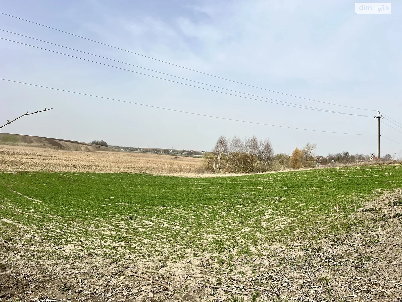 Продается земельный участок 21 соток в Ровенской области - фото 3
