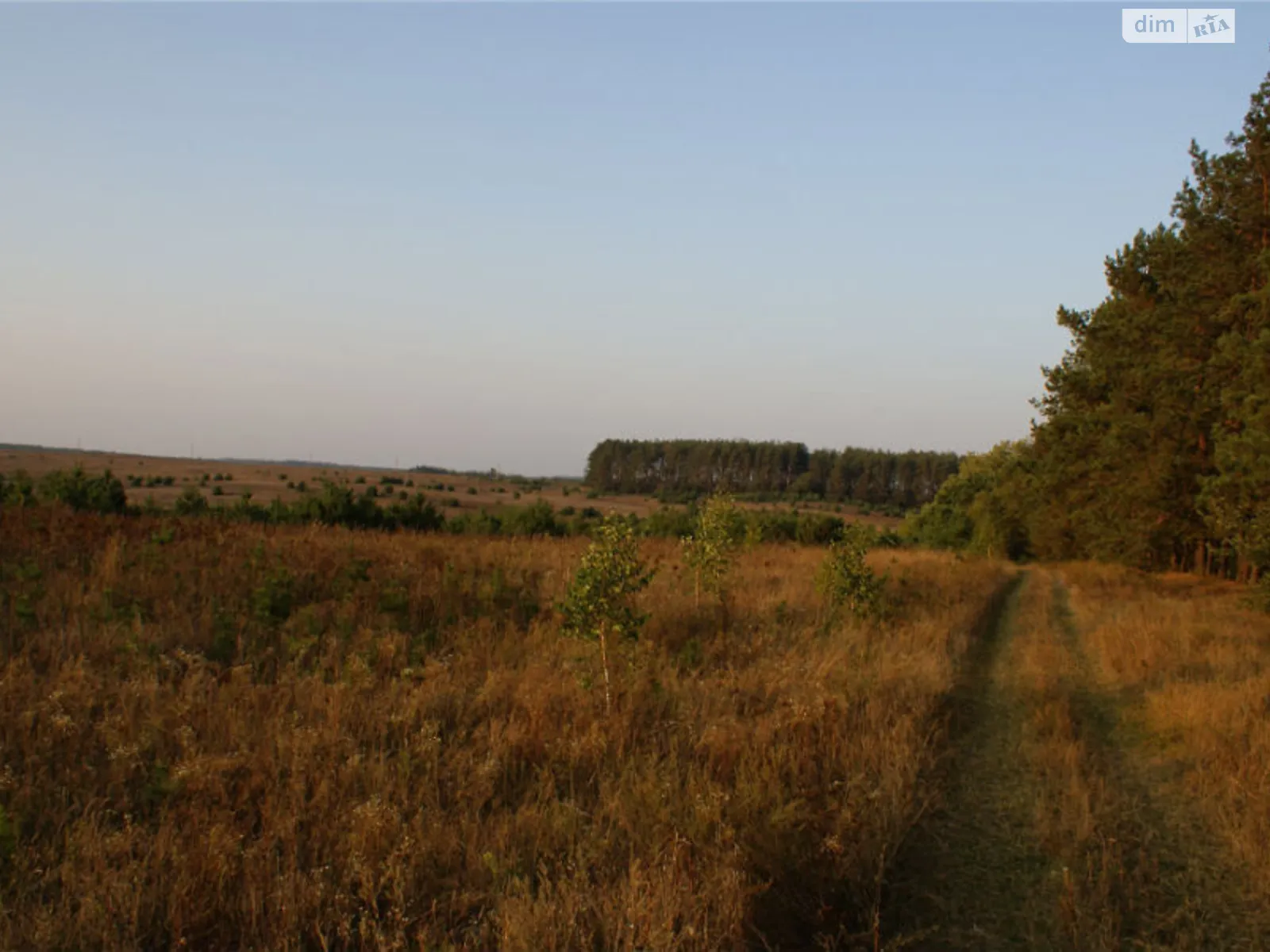 Продается земельный участок 400 соток в Киевской области, цена: 100000 $