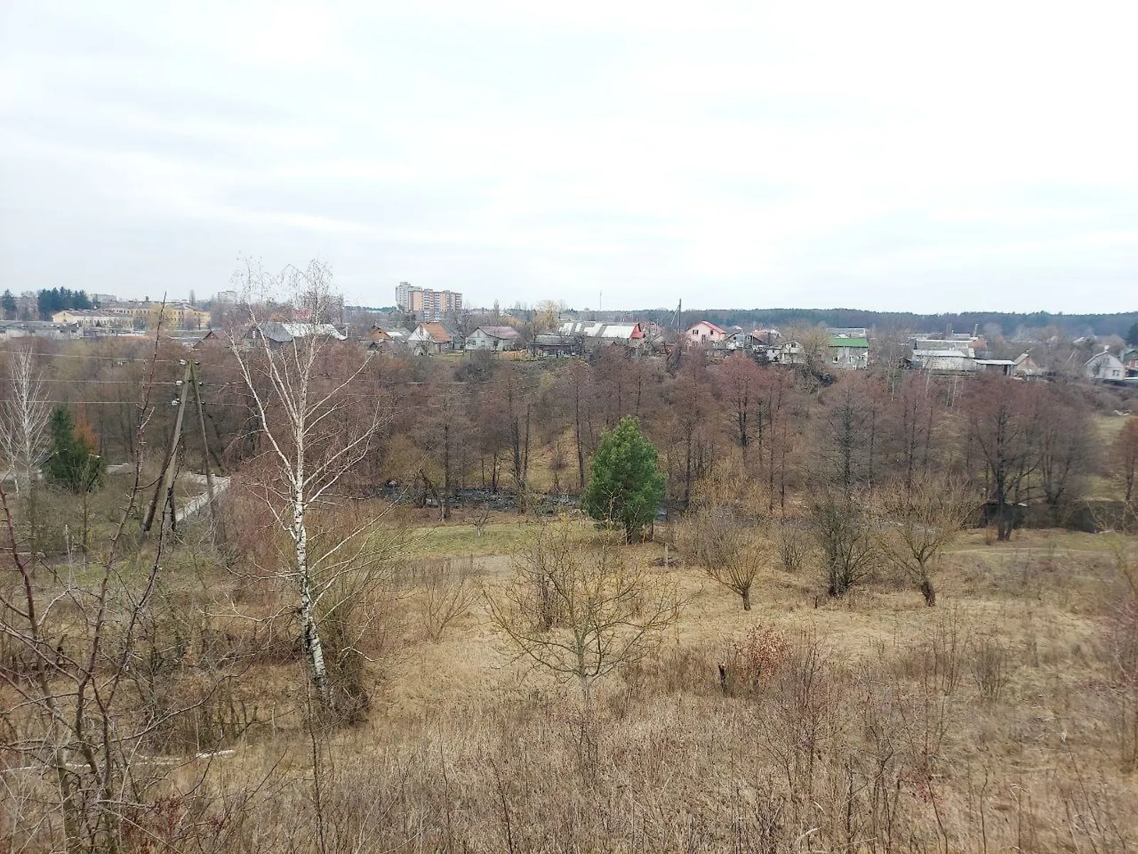 Продается земельный участок 64 соток в Житомирской области - фото 2