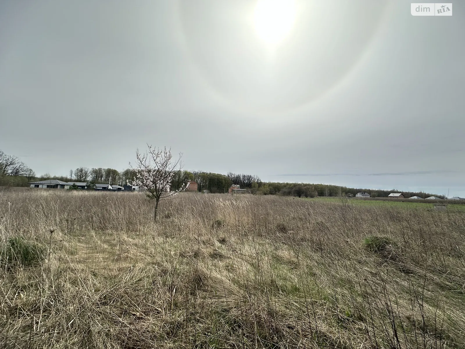 Продается земельный участок 0.2044 соток в Винницкой области - фото 2